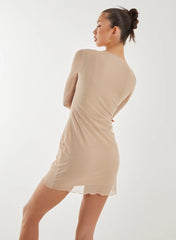Mesh Bodycon Dress