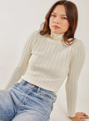 Soft Knit Wide Rib Roll Neck Top
