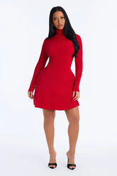 Inaya Turtle Neck Sweater Mini Dress