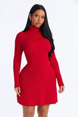 Inaya Turtle Neck Sweater Mini Dress