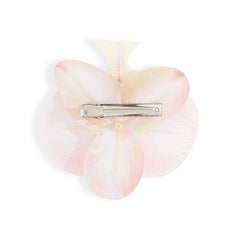 Orchid Flower Cream