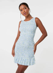 Ditsy Shirred Broderie Mini Dress