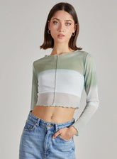 Ombre Exposed Long Sleeve Mesh Crop Top