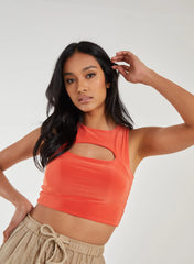 Letterbox Slinky Crop Top
