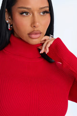 Inaya Turtle Neck Sweater Mini Dress