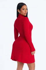 Inaya Turtle Neck Sweater Mini Dress