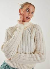 Thick Roll Neck Jumper