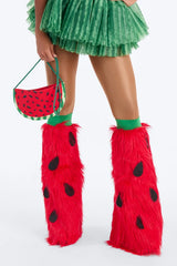 Juicy Watermelon 4 Piece Costume Set