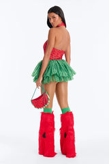 Juicy Watermelon 4 Piece Costume Set