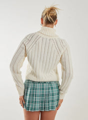 Thick Roll Neck Jumper