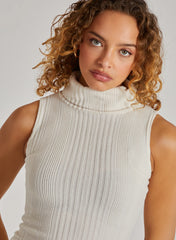Wide Brushed Rib Sleeveless Roll Neck Dress