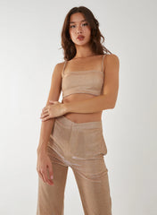 Metallic Crop Top