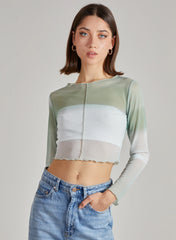 Ombre Exposed Long Sleeve Mesh Crop Top