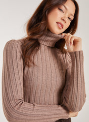 Soft Knit Wide Rib Roll Neck Top